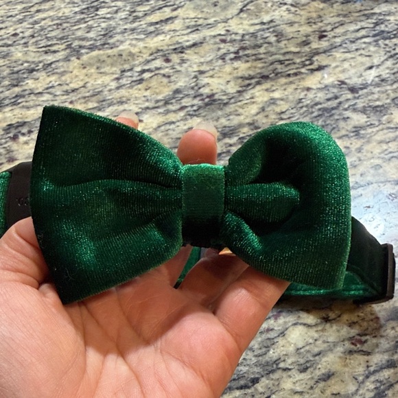 Luxurious Velvet Green Dog Collar with Bow Tie - Picture 4 of 5